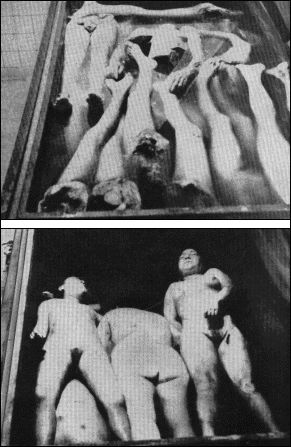 Dead woman and severed limbs in a tank for medical experiments.