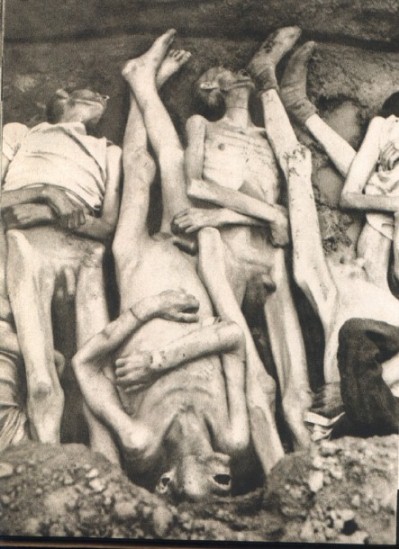 Dead emaciated Nazi genocide victims.